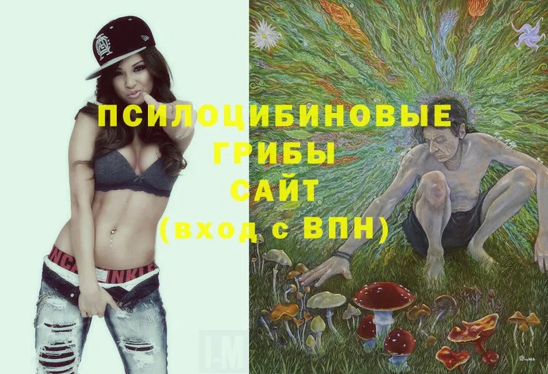 Псилоцибиновые грибы MAGIC MUSHROOMS  Ефремов 